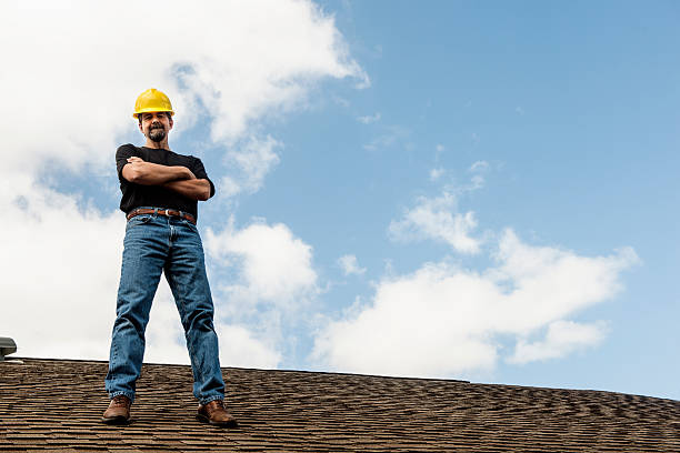Best Roof Gutter Cleaning  in Edgewood, OH