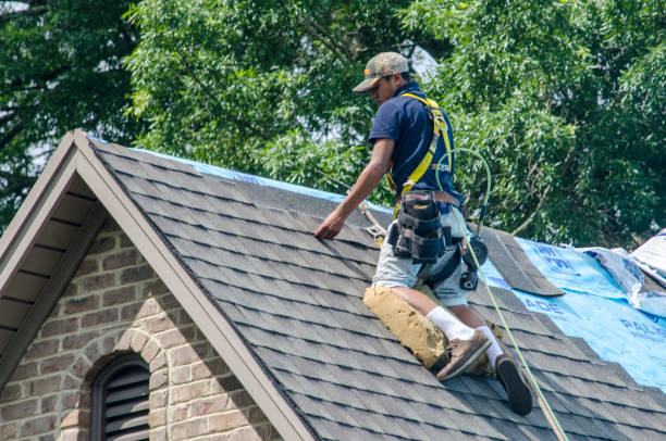 Best Storm Damage Roof Repair  in Edgewood, OH